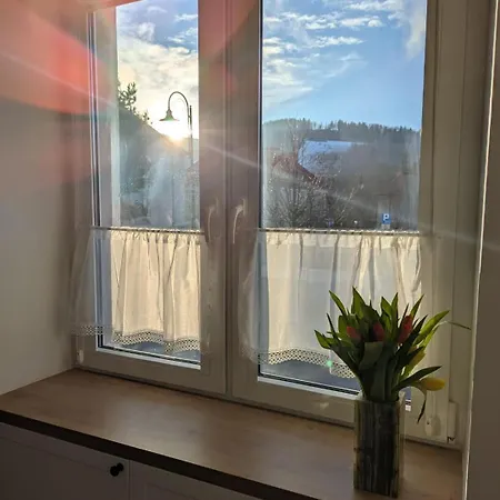 Appartamento Po Stronie Gor - Stoki Narciarskie, Kapielisko, Trasy Rowerowe Stronie Śląskie